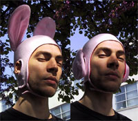 bunny_ears.jpg image